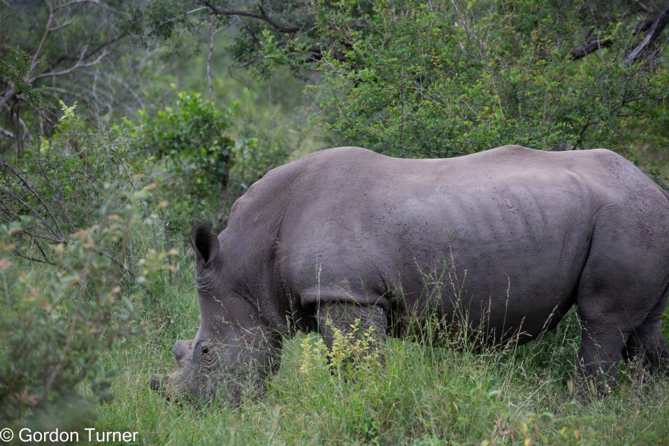 <h2>The Best of South Africa Escorted 2023</h2> 14 Nights | 6 Rounds | March 11 - 25